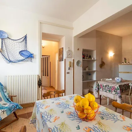 Farfallino's House * Шакка